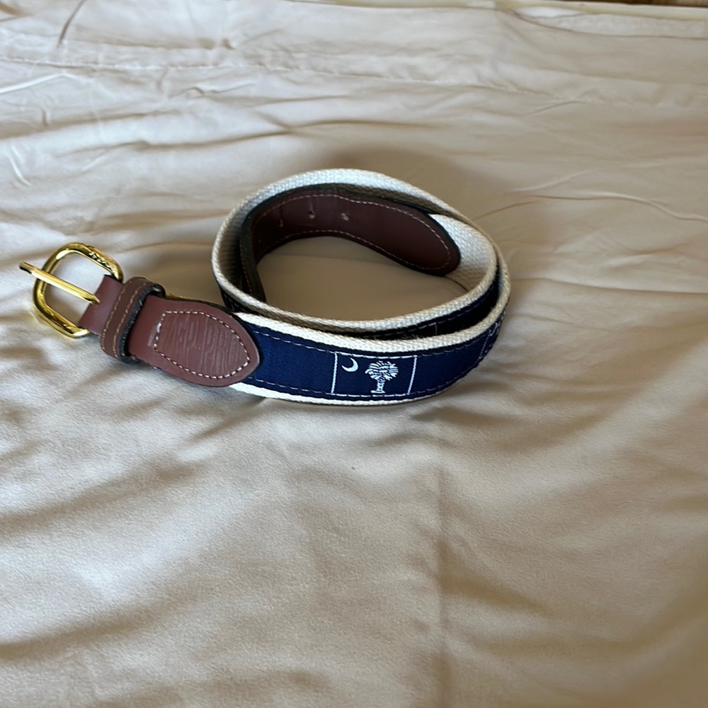 Stylish Blue and Brown Belt with Gold Buckle